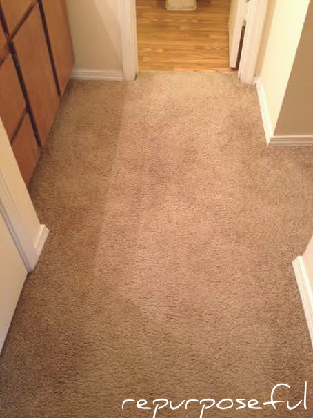 How to Get Bleach Stain Out of Carpet [Is it Possible to DIY This?]